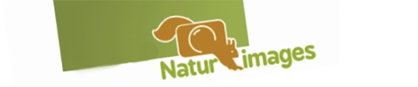 Logo du Festival Natur'images à Tignecourt (vosges)