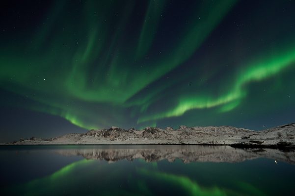 L'aurore boréale se reflète dans le fjord torsfjorden, Lofoten Norvège