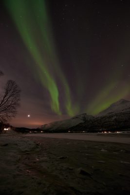 Aurore Boréale au dessus du Laksvatnet