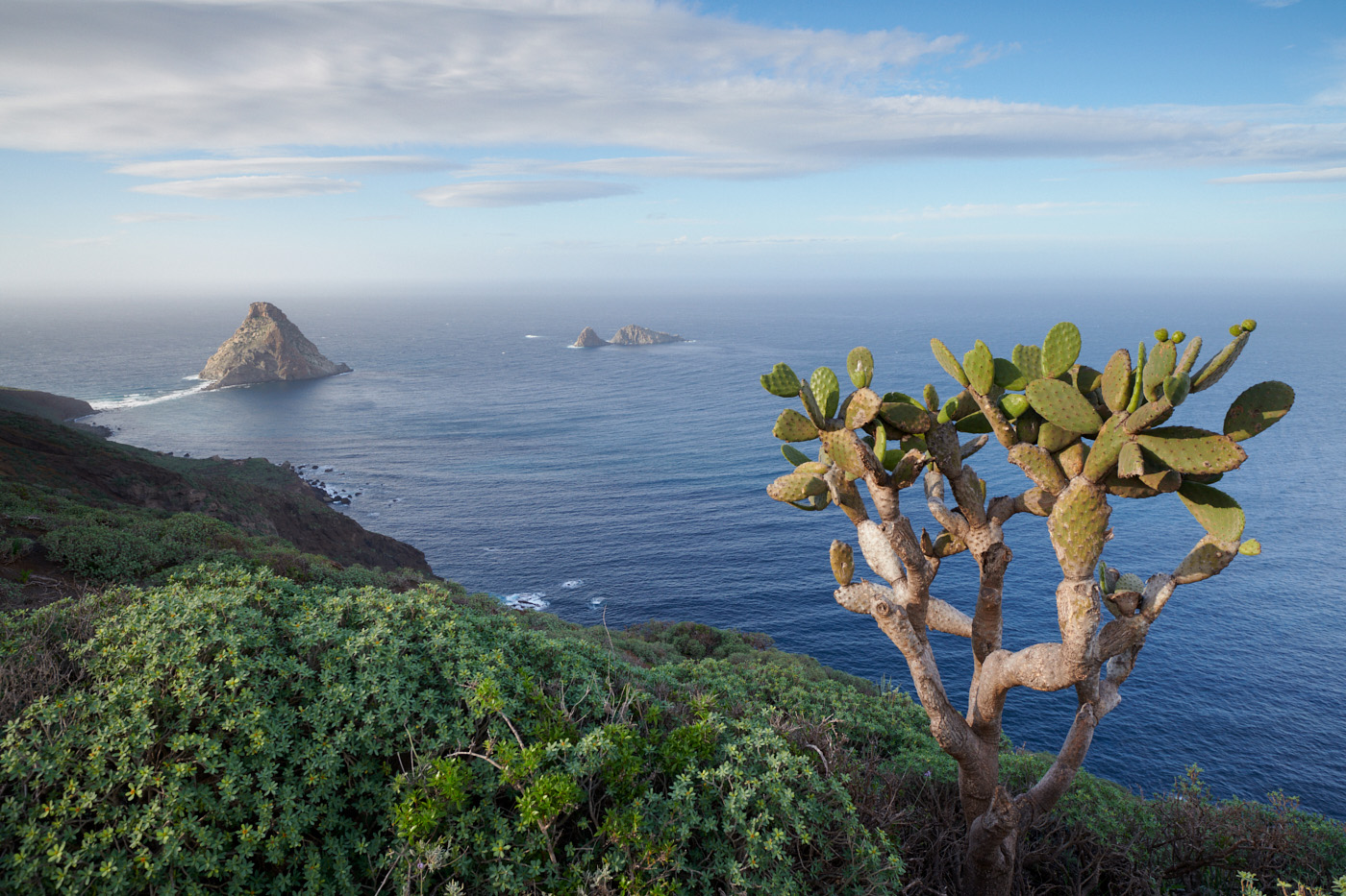 Fiche technique El Hierro Tenerife